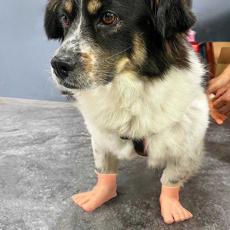 1 пара креативных милых крошечных кукол на ногах забавные маленькие пальцы ног