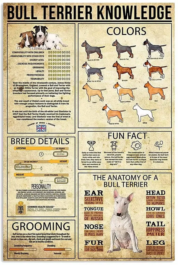 

Bull Terrier Knowledge Metal Tin Signs Poster Home Art Wall Decor Plaque Farm Bathroom Bedroom Living Bar Cafe Kitchen Farmhouse