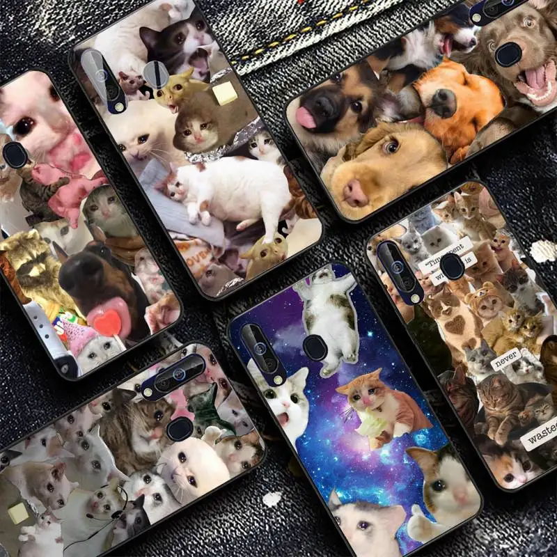 

Crying Cat Memes Phone Case for Samsung Galaxy A 51 30s a71 Soft Silicone Cover for A21s A70 10 A30