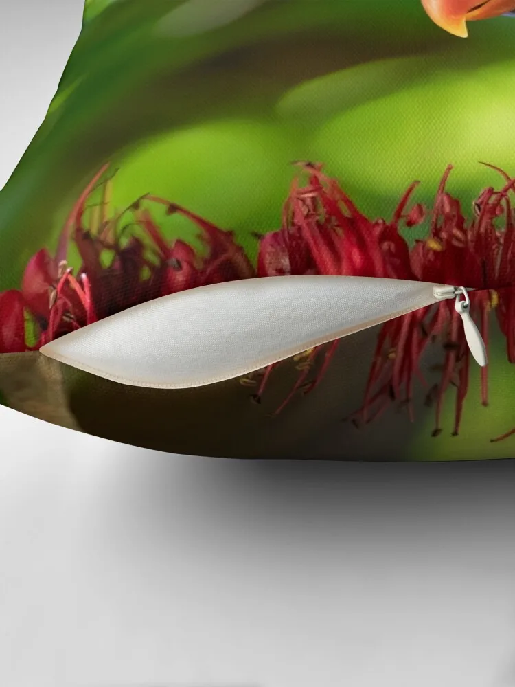 Радужная декоративная подушка в клетку для дивана Роскошный чехол подушки