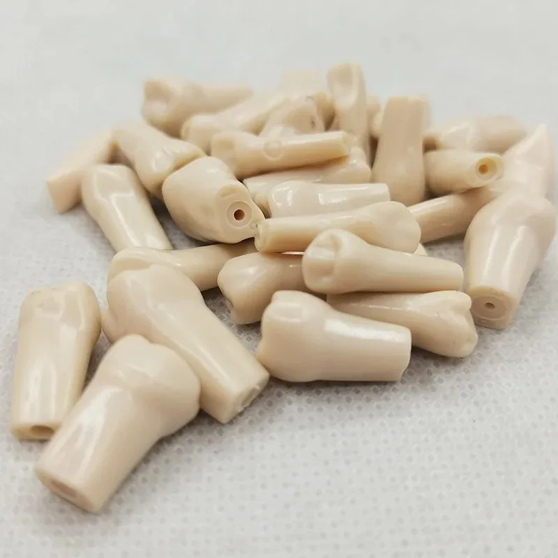 Модель зубной резины модель для обучения резинки оборудование стоматологии