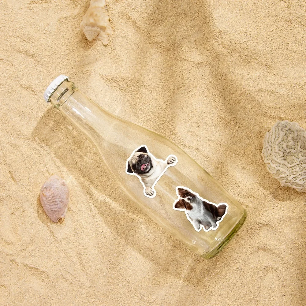 10/50 шт. водонепроницаемые наклейки для одежды