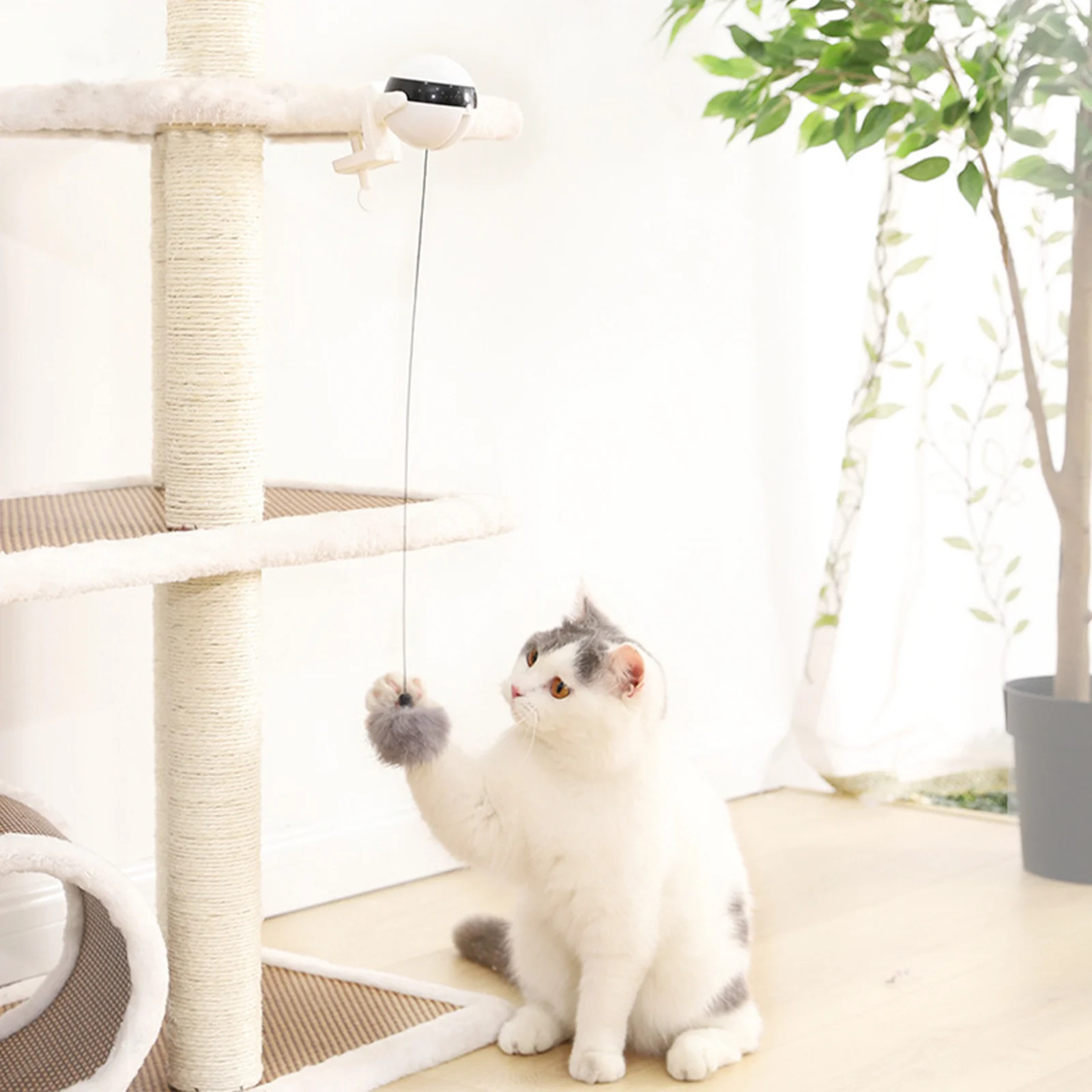 

Игрушечный мяч для кошек, кошачья Дразнилка с плюшевым шариком