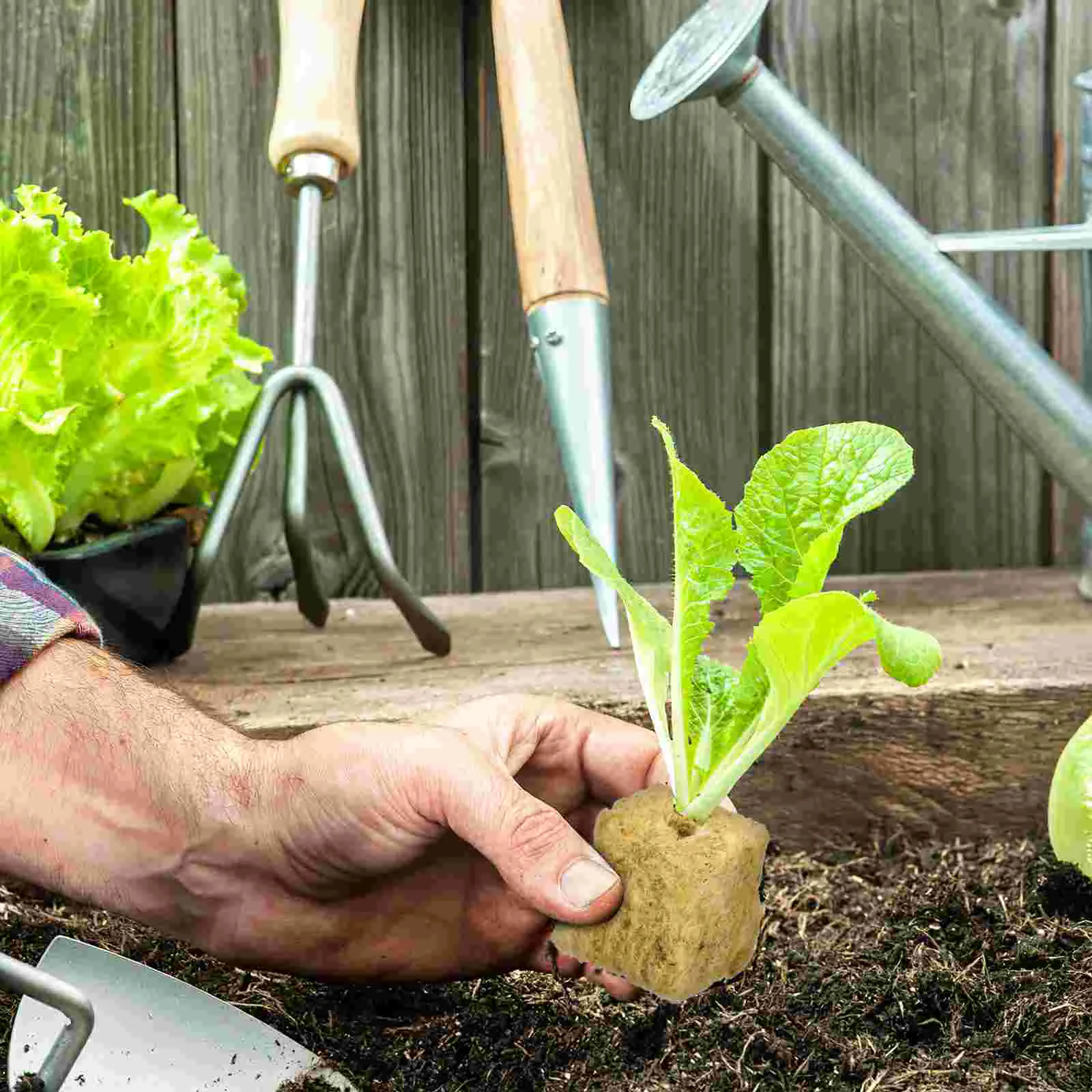 100 шт. посевательная пробка блок для рассады стартовые пробки растений пряжа в