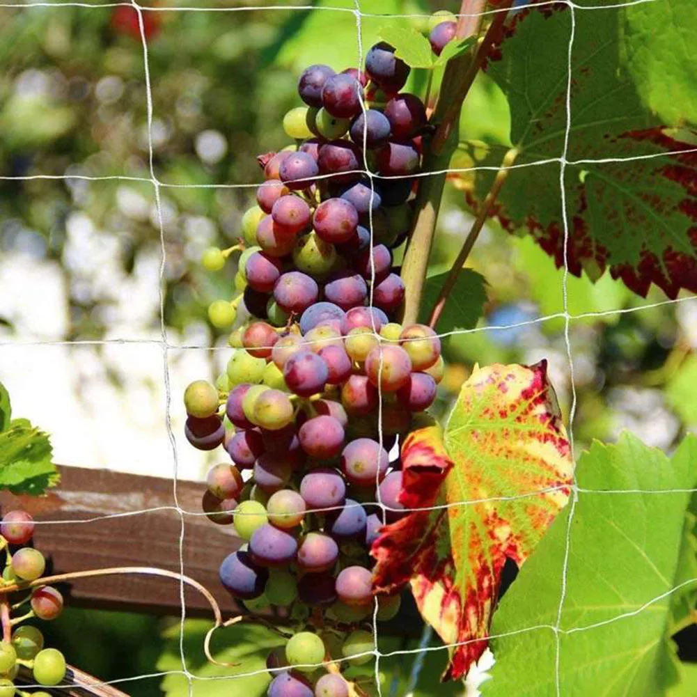 

Vine Grow Netting Holder Polyester Support Net Garden Plants Climbing Cucumbers for Household Garden Grass Supply