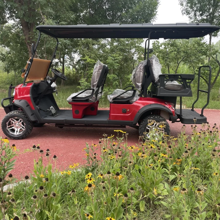 Электрический автомобиль уличная легальная настраиваемая электрическая