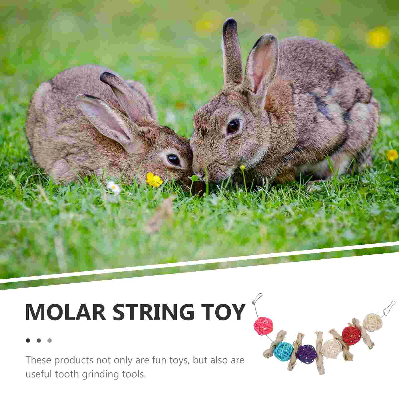 Жевательные игрушки для хомяков маленькие молярные шампуры домашних животных