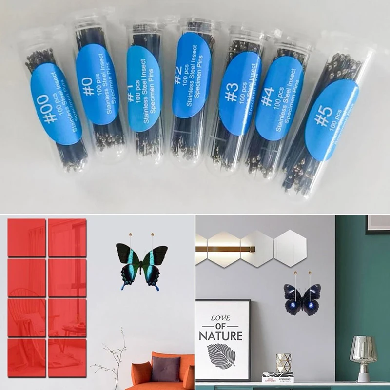 

100Pcs Stainless Steel Insect Pins With Tube Specimen Pins For School Lab Education Accessories Body Dissection Insect Needle