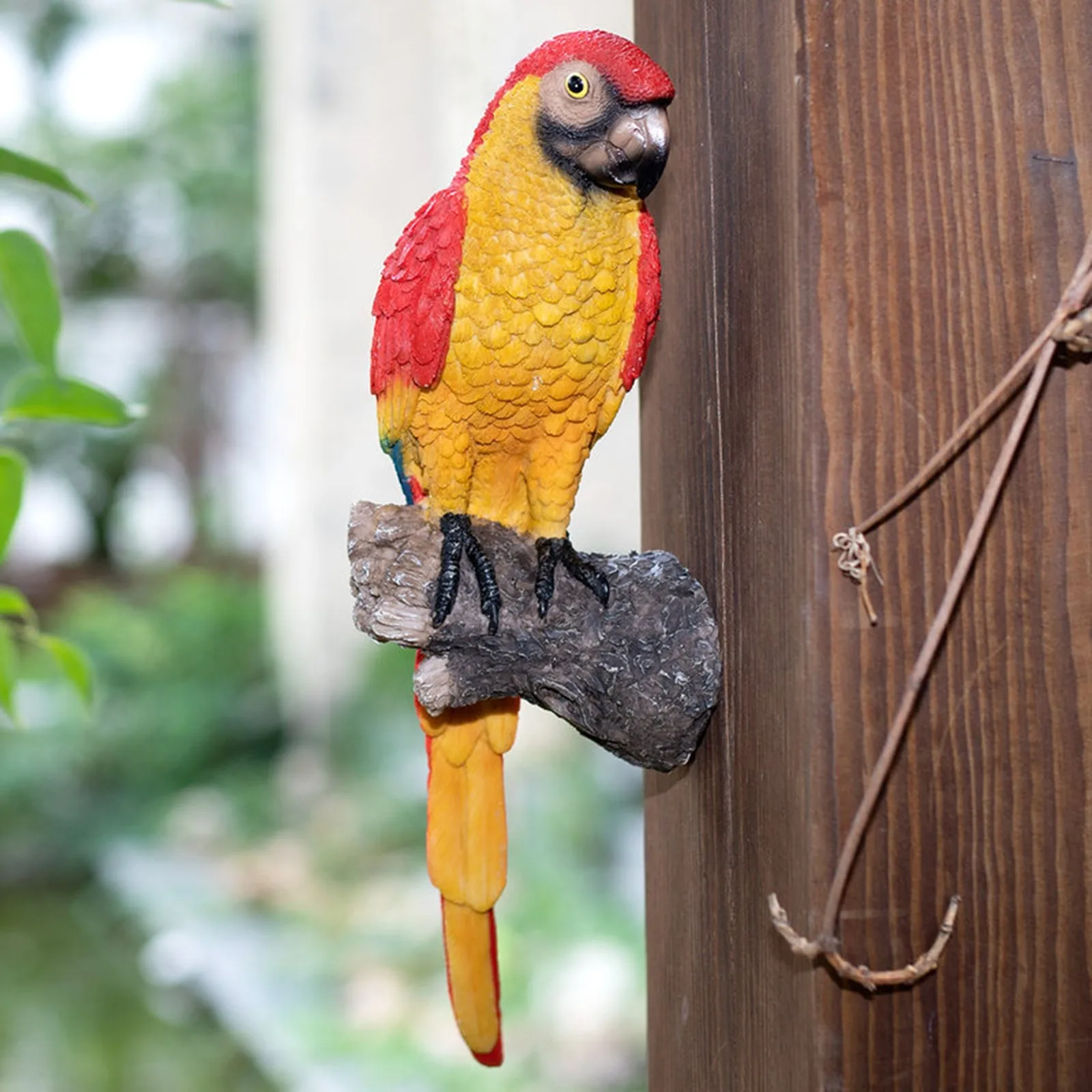 

Vegetable Garden Gifts Decor Macaws Statue Outdoor Parrot -d Garden Yard Ornament Resin Lifelike Seasonal Garden Flags Set Gnome