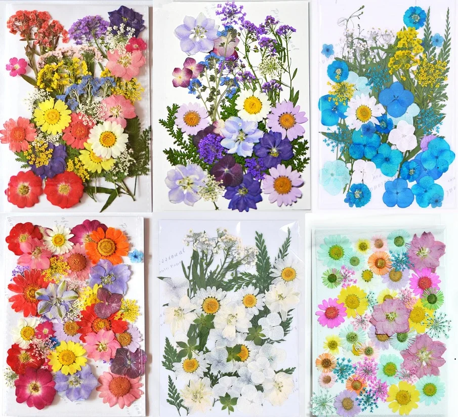 1 набор разнообразных цветов цветочный лист гербарий для эпоксидной смолы