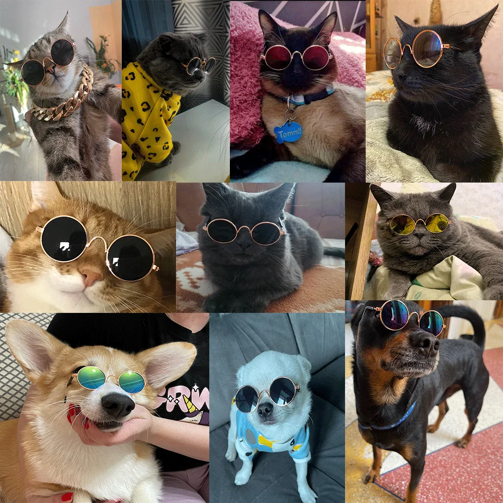 Очки солнцезащитные круглые в винтажном стиле для маленьких собак и кошек | Дом
