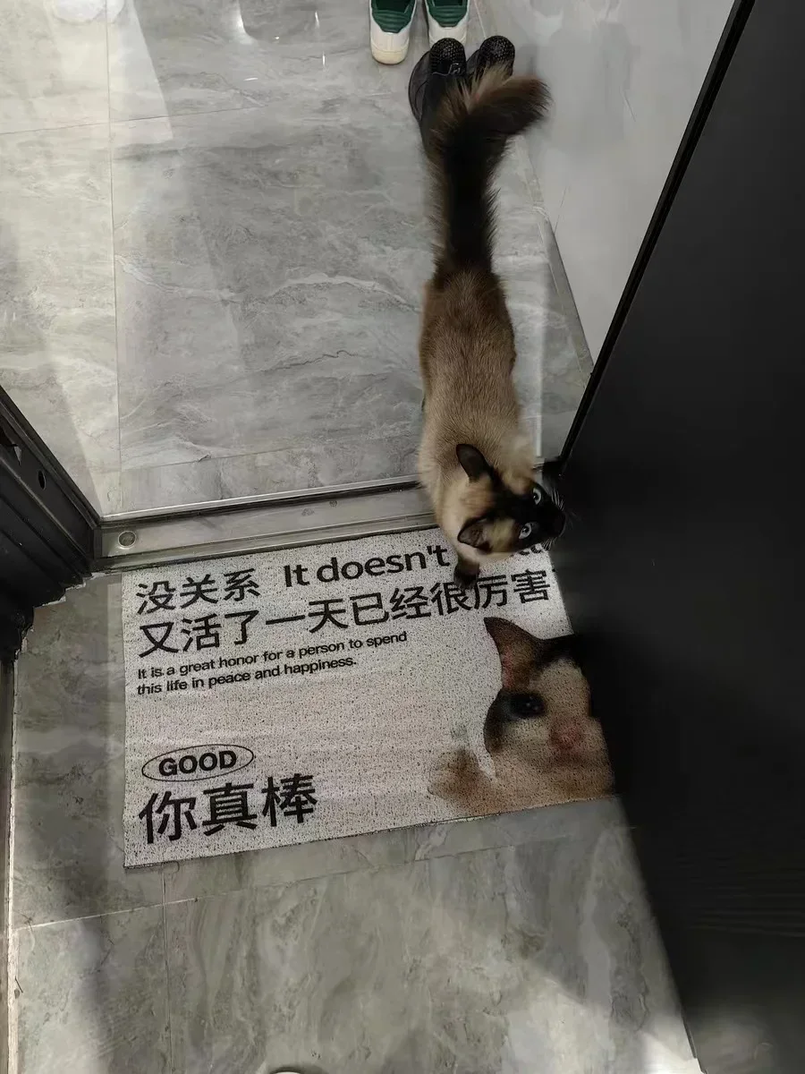 Альфомбрелла с водорослями избыточного материала alfombra espuma viscoelástica antideslizante para suelo