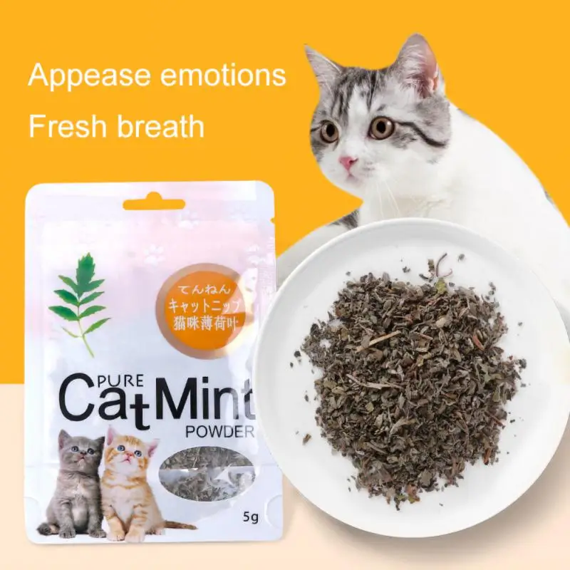 

5g Cat Toy Catnip Organic 100% Natural Premium Catnip Clean Teeth Healthy Menthol Flavor Funny Cat Mint Toys Cat Accessories