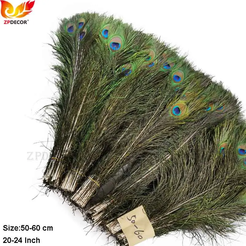 

Natural Peacock Feathers 50-60cm for Weddings Holiday Decorations