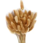 Натуральные сухие цветы, белые Искусственные цветы, Красочный Букет из искусственного кроличьего хвоста, длинные пучки для украшения дома, отеля, свадьбы