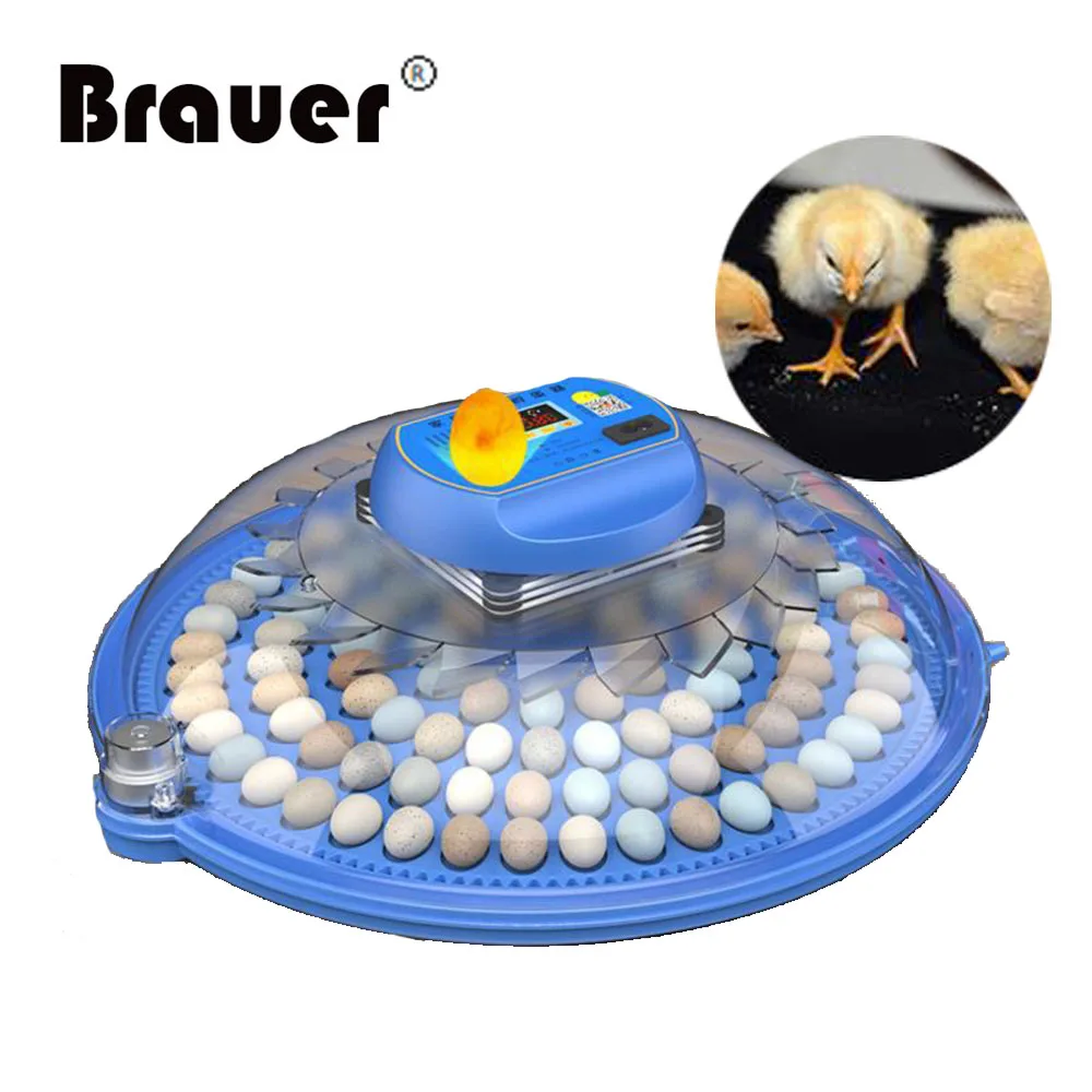 Инкубатор для птиц и перепелов полностью автоматический инкубатор 52 яиц - купить