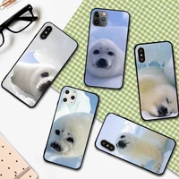 baby harp seal sea lion animal phone case for iphone 12 11 13 7 8 6 s plus x xs xr pro max mini shell
