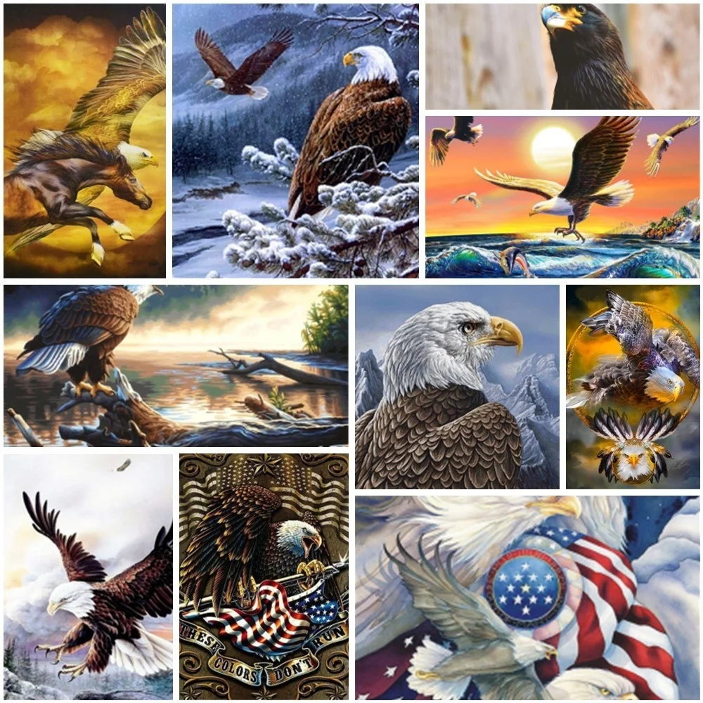 

Animal Eagle Painting By Numbers Handicrafts Crafts Kits For Adults Home Decor Personalized Gift Ideas Wholesale 2023
