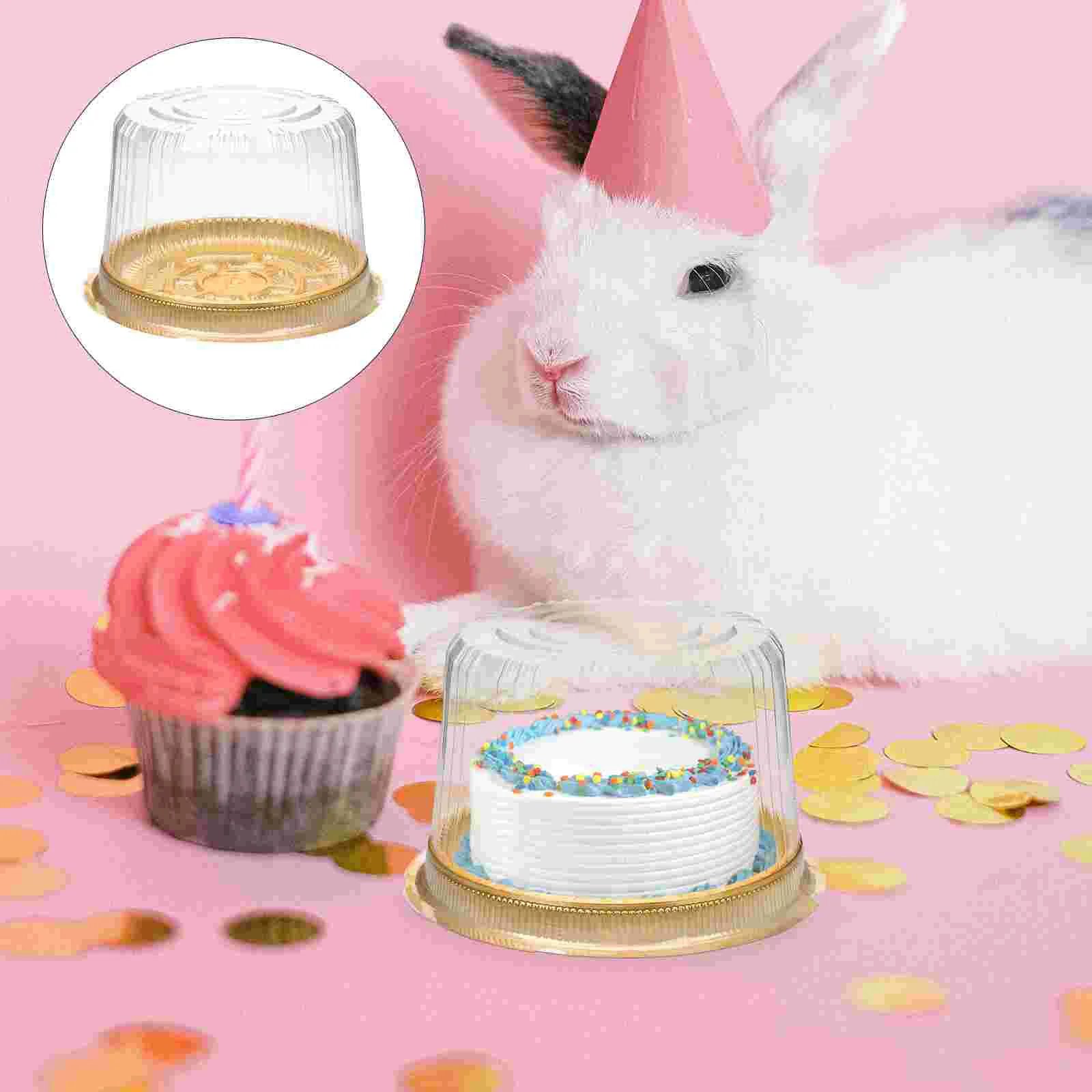 

20 Pcs Disposable Containers Cake Box Plastic Stand 15.5x12.5cm Lids Slice Golden Child