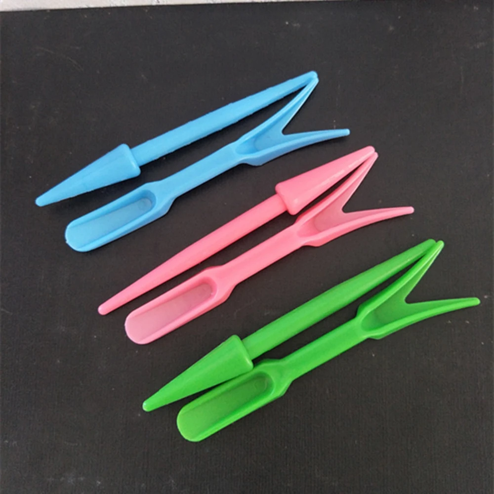 Садовый набор для пересадки сочных растений в теплице для выращивания саженцев и пересадки растений.