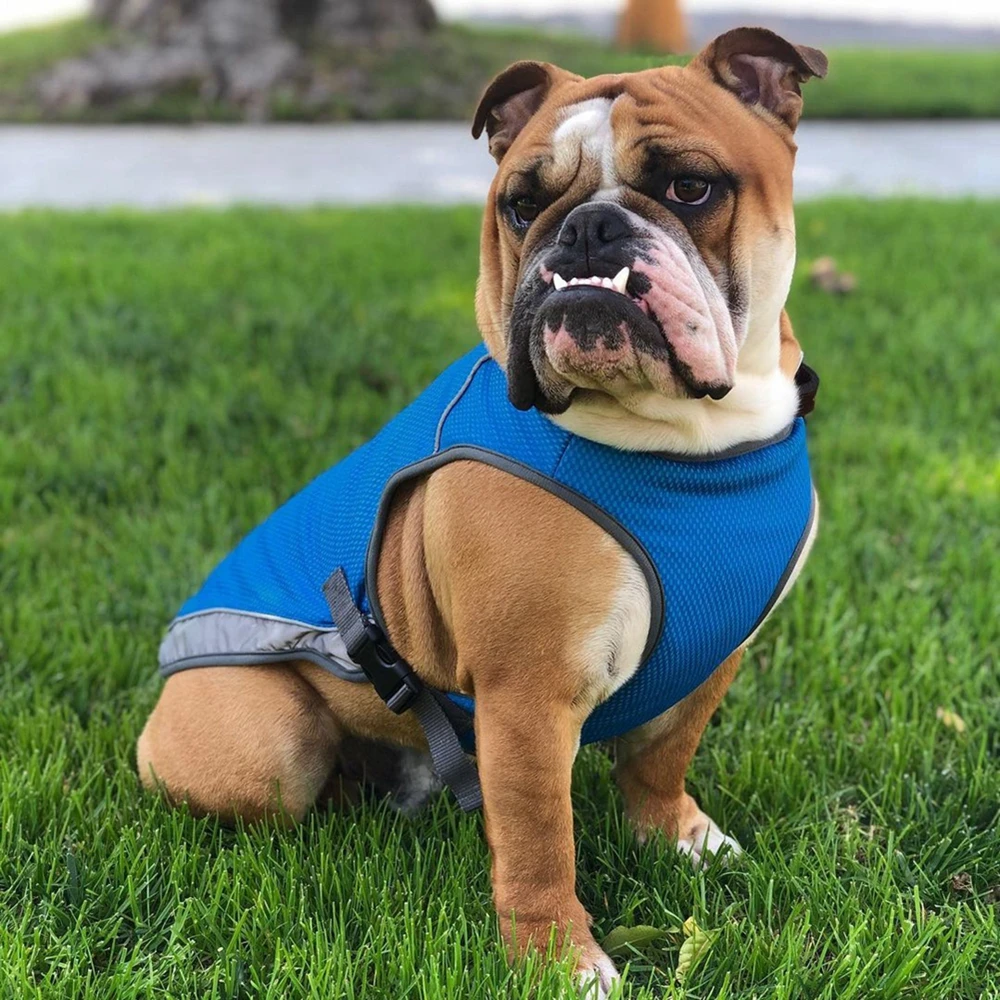 

Puppy Summer Dog Cooling Vest Clothes Harness for Dogs Adjustable Mesh Reflective Vest Coat Quick Release Pet Dog Clothes