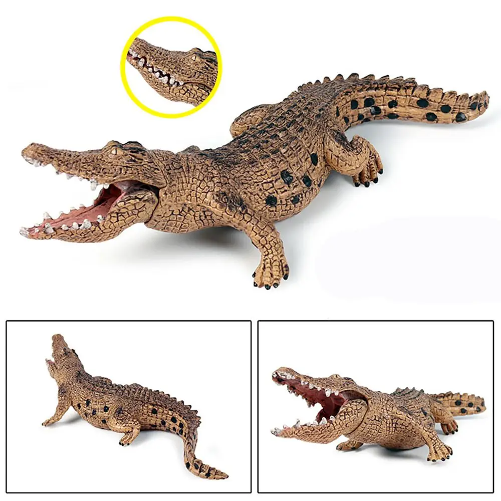 

Learning Kids Cognition Educational Toy Amphibious Animals BoarCroc Figurines Nile Crocodile Models Simulation Wildlife