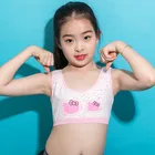 4 шт.лот, для мальчиков одежда для девочки-подростка спортивный бюстгальтер нижнее белье Беспроводной для девочек-подростков; Бюстгальтер для молодых девочек; Спортивный бюстгальтер; Бюстгальтер без От 8 до 14 лет