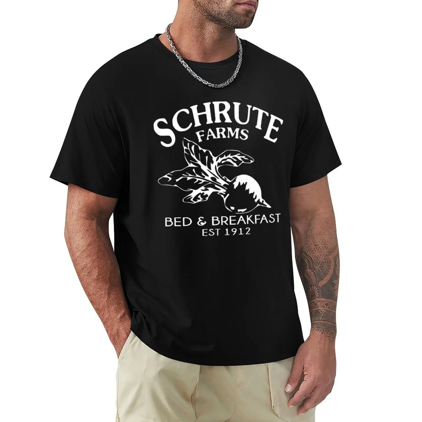 

Schrute Farms Bed And Breakfast T-Shirt Aesthetic Clothes Graphic T Shirt Men's t-shirts