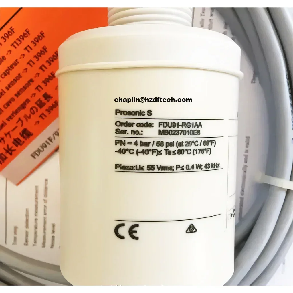 Фото Ультразвуковой уровнемер Endress+Hauser FDU90-RG2AA №4