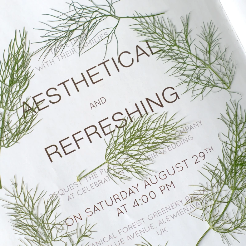 7-10 см/24 шт. натуральные прессованные листья фенхеля Рельефный цветок сделай сам