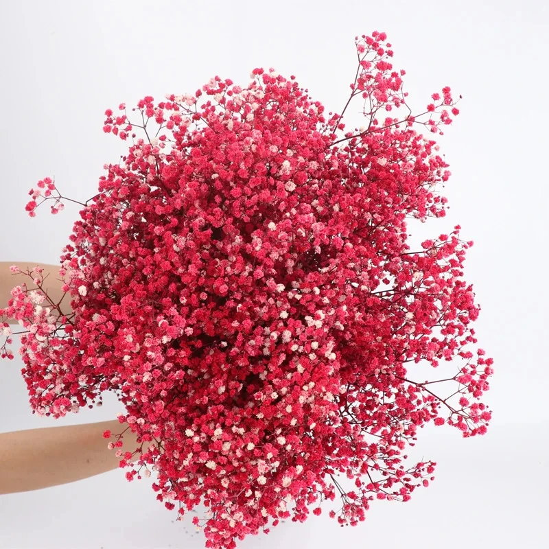 

Сухие цветы YN HI FLOWER ENJOY YOUR LIFE Детское дыхание 80г