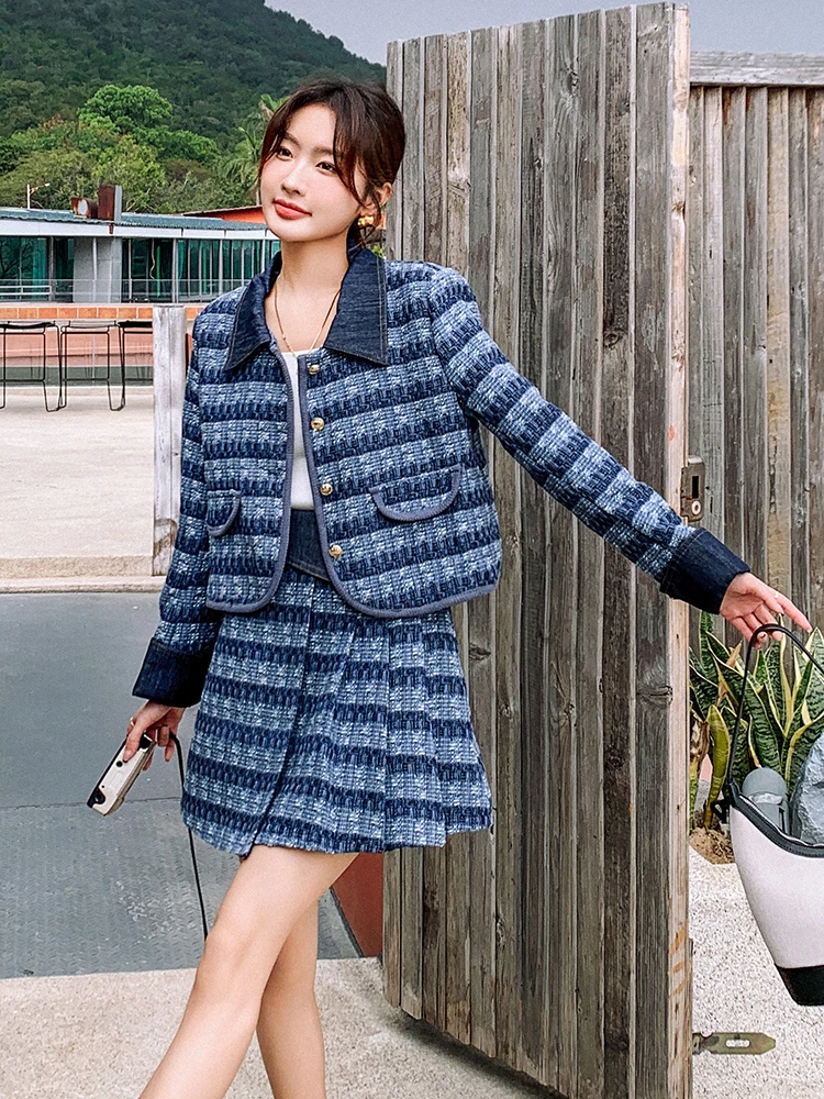 Blue Plaid Graceful Leisure Dress Outfit Women 2024 Autumn New French sle Advanced Sense Skirt Two-piece Set