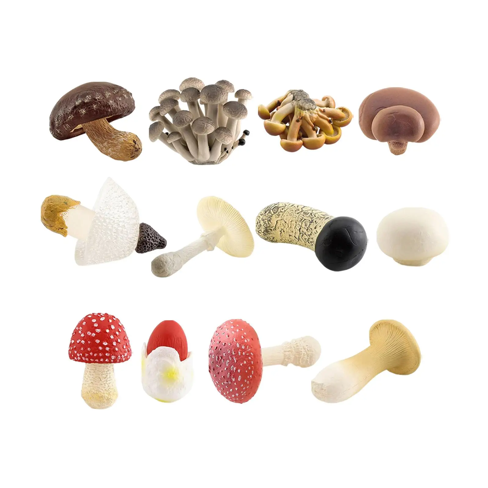 

4 Pieces Miniature Mushroom Model Development Toy Collectible Decorations