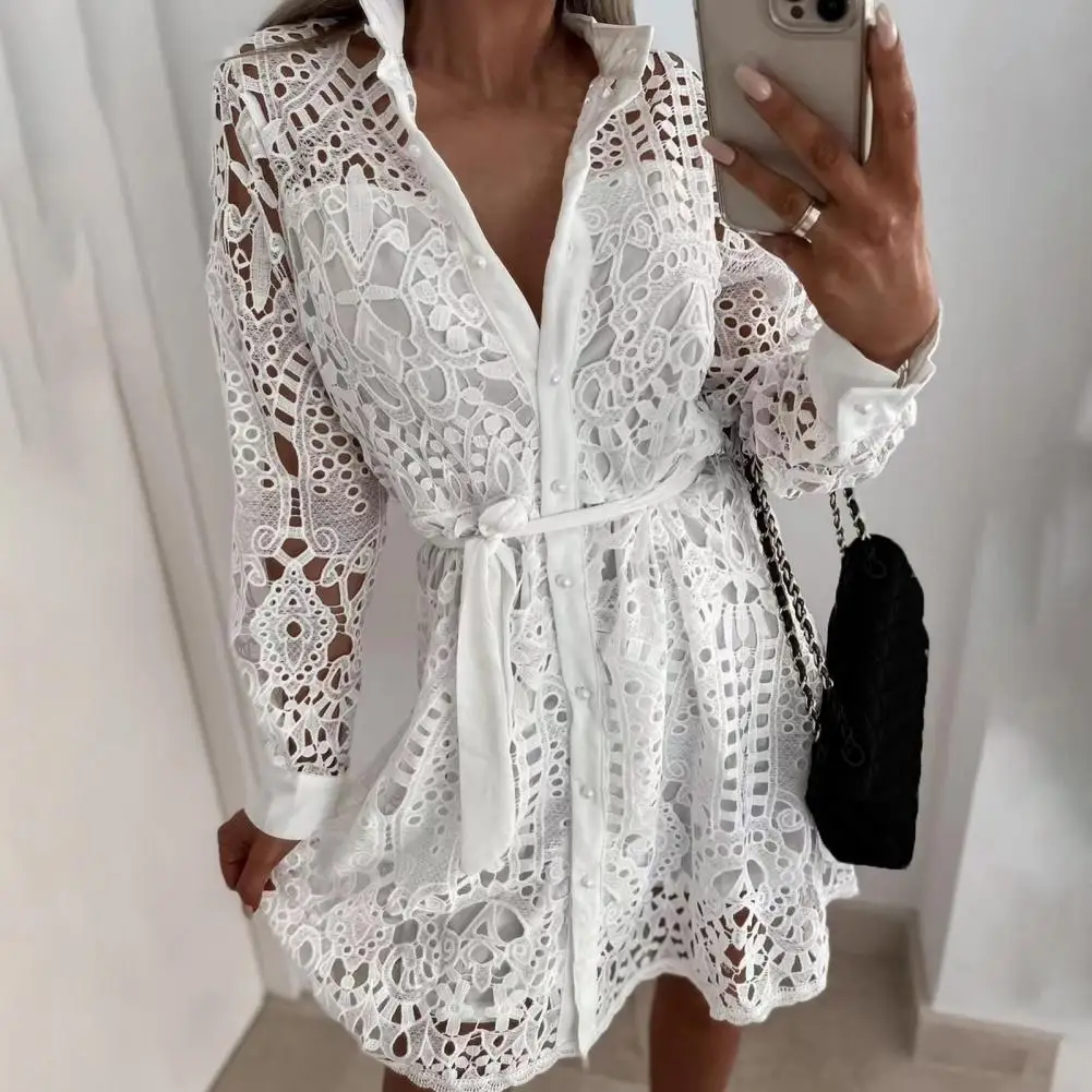 

Elegant Embroidery Hollow Out Lace Dress Women 2022 Summer New Turn-down Collar Button Shirt Dress Belted Mini Party Dress