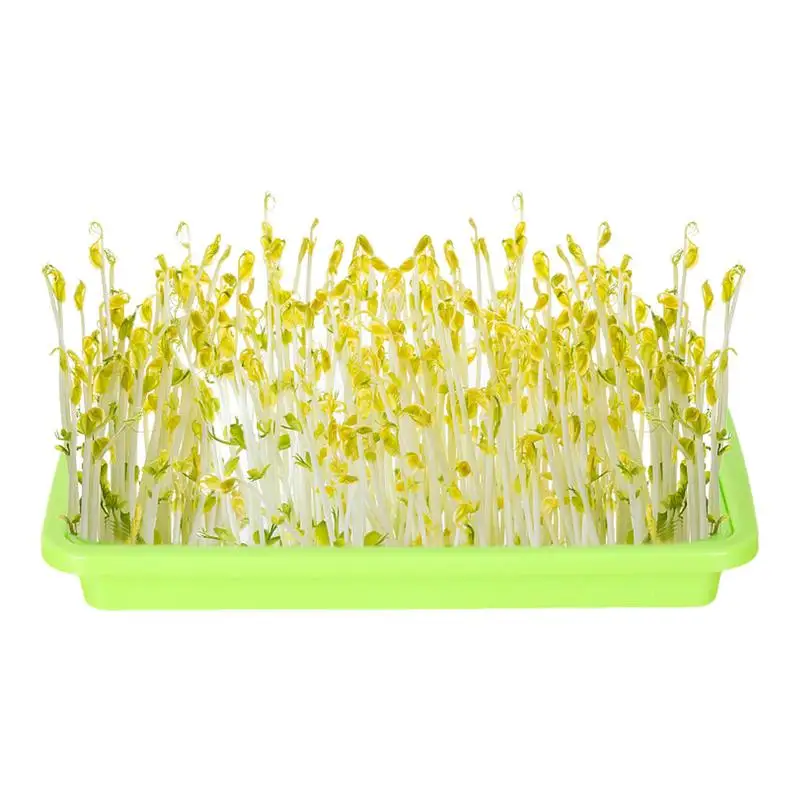 Лоток для проростков рассады усовершенствованная гидропонная технология лоток