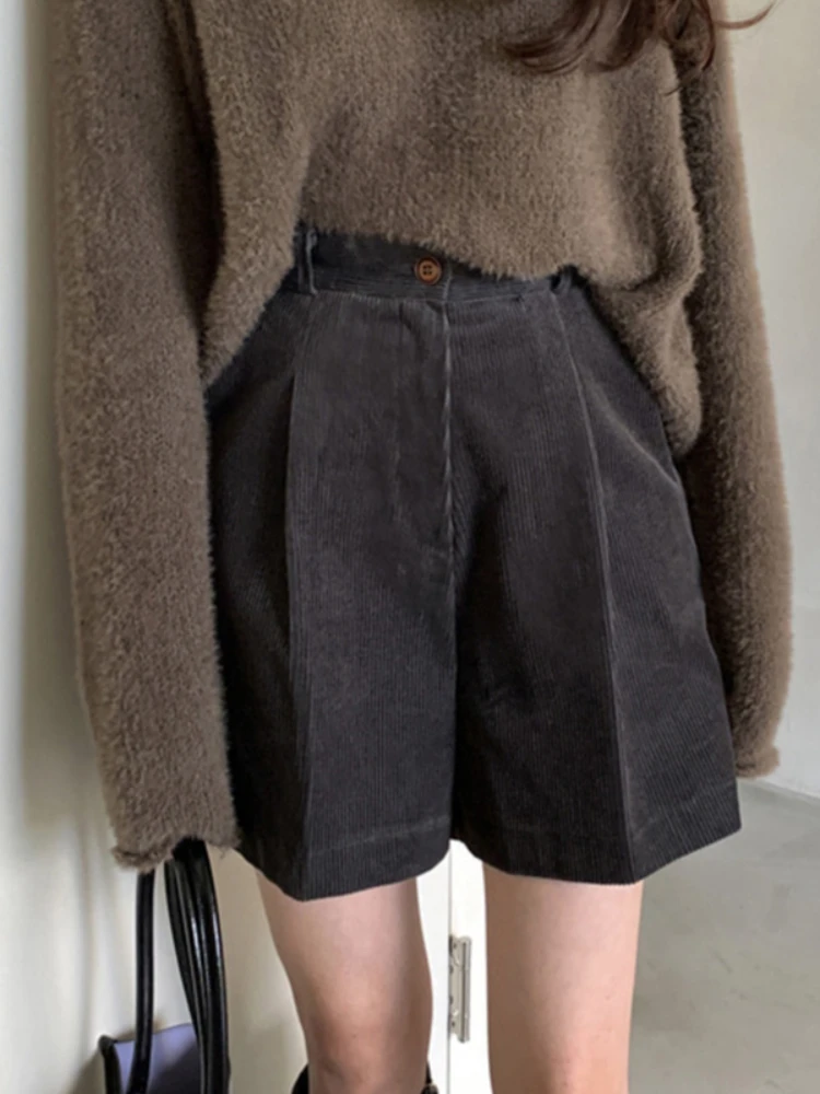 Корейские шикарные брюки Korobov Осенние винтажные для женщин нишевые