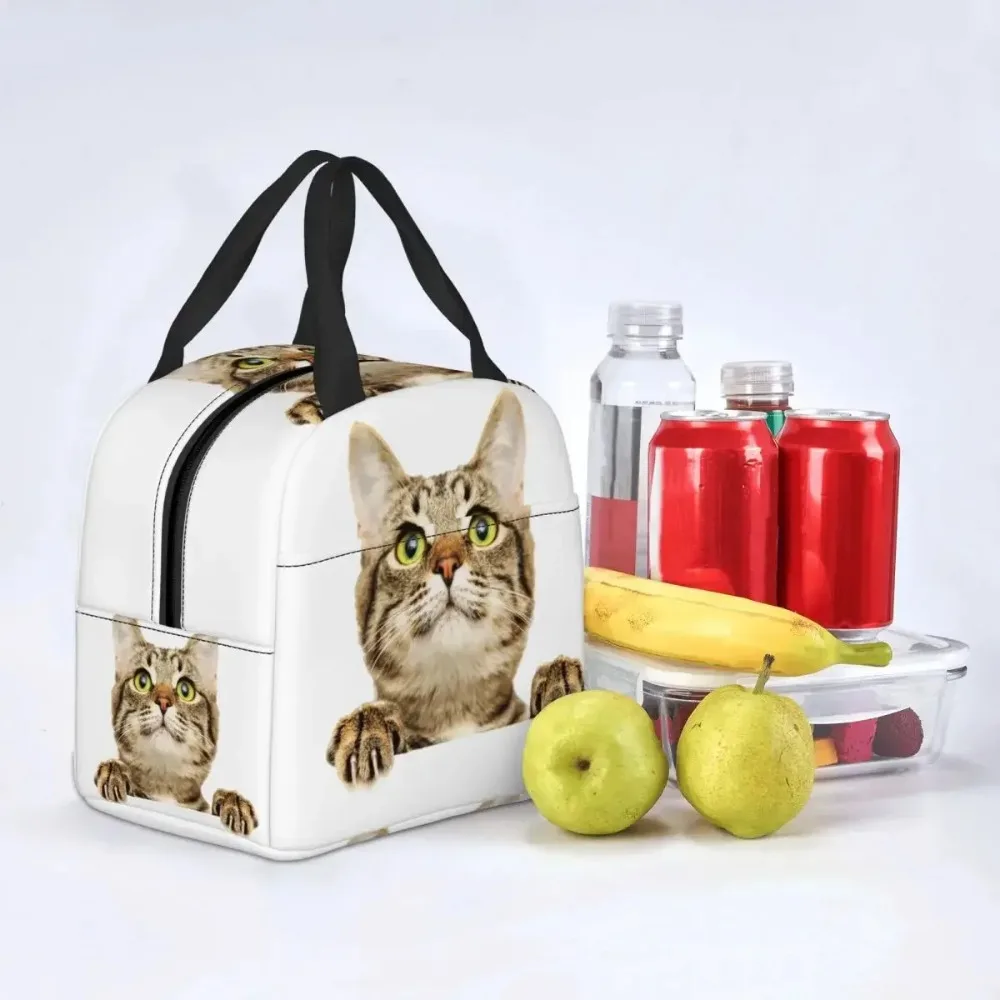 Сумка для обеда с забавным котом женщин и детей портативный термохолодильник