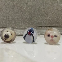 Попсокеты с питомцами внутри