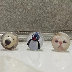 Попсокеты с питомцами внутри