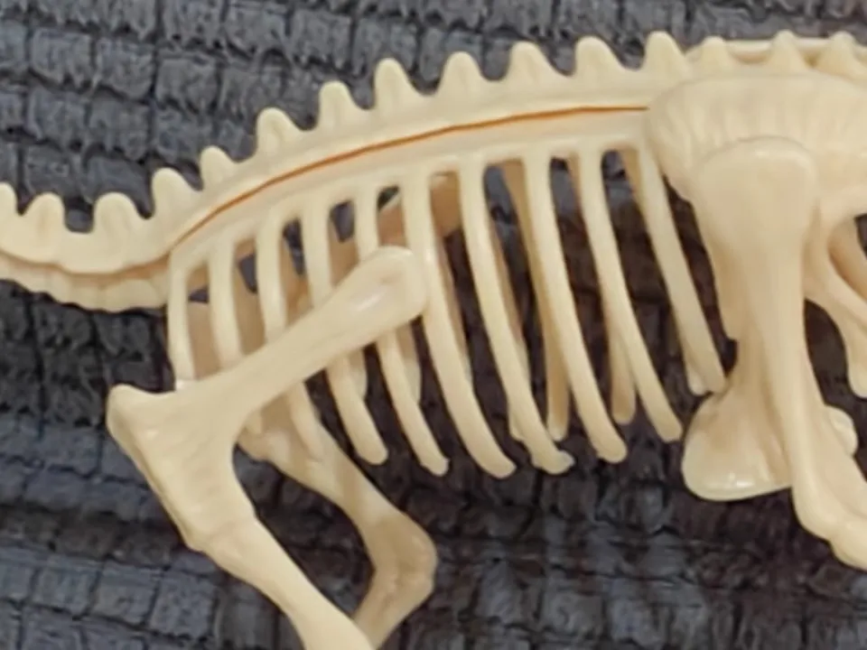 Игрушки для археологических раскопок динозавр тираннозавр Рекс окаменелость