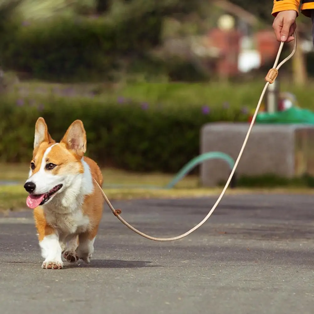 

Safe Green Reflective Stripe Pet Leash Pet Leash Simple to Wear Traction