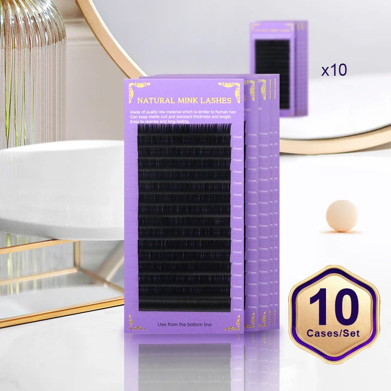 

HOLLYLASH 10 Cases Pack Lashes Individual Eyelash Extensions Supplies Soft Natural Light False Eyelashes Premium Vegan Mink Lash