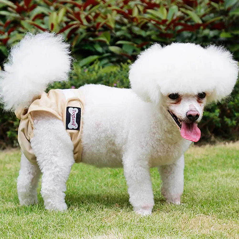

3pcs Pet Dog Physiological Pants Anti-harassment Highly Absorbent Sanitary Panties Nappies For Female Dogs