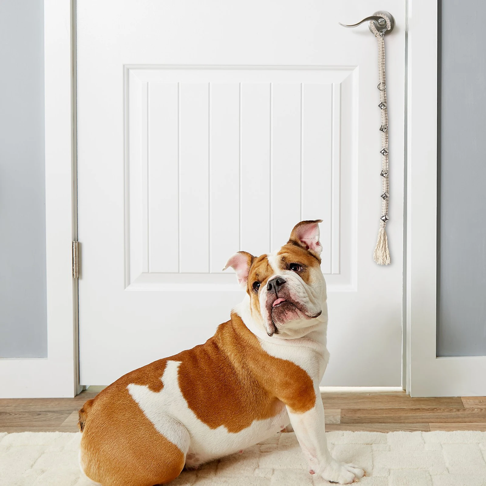 Dog Potty Training Bell Bells For Puppies Dogs Doggy Doorbell Pet Supplies To Ring |