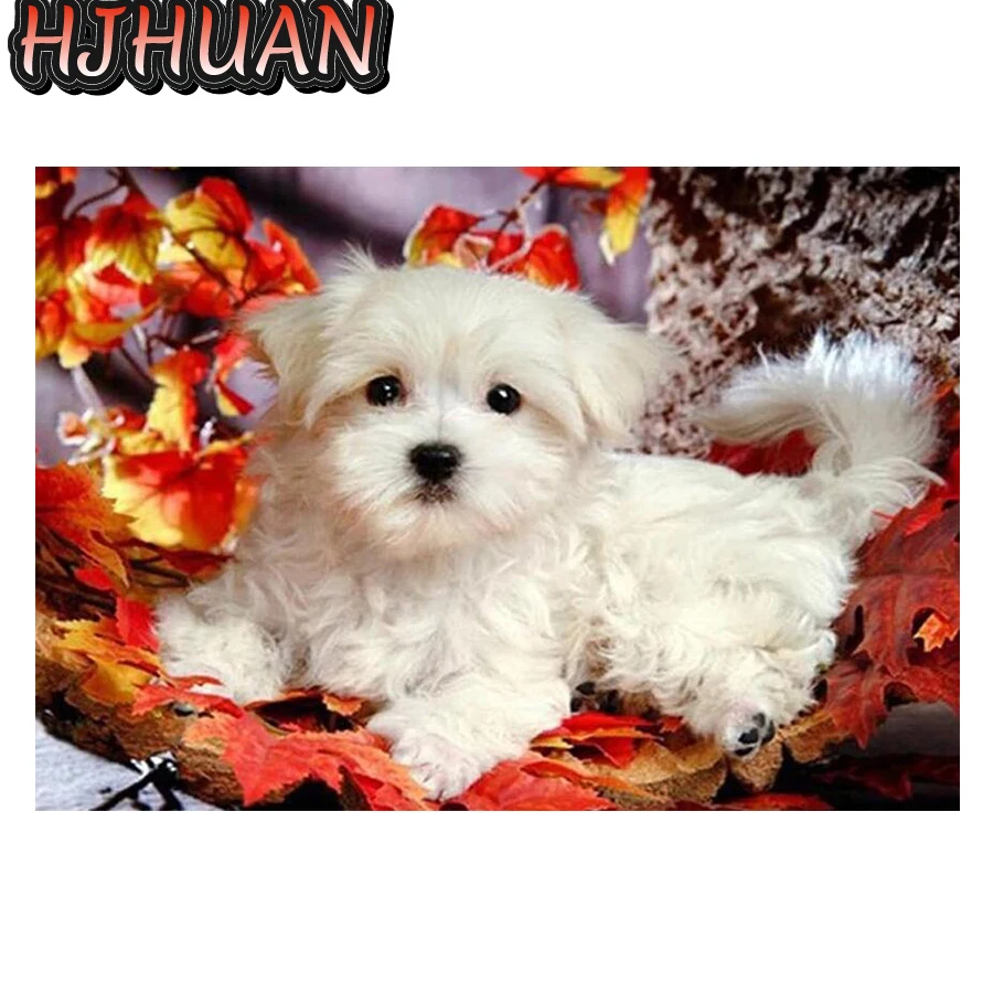 

Full circle diamond painting Maltese dog Diamond embroidery handmade diamond embroidery mosaic art kit home decoration pictures