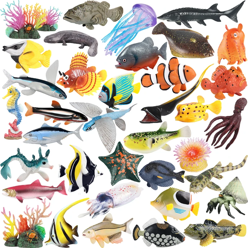 Children Collection Toy