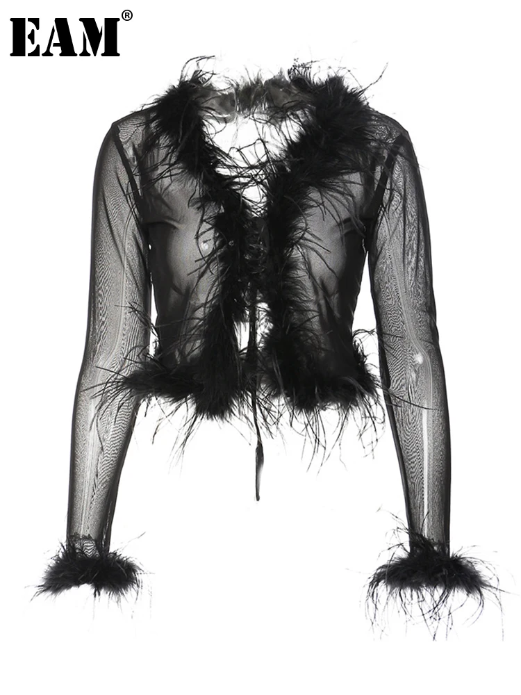 

[EAM] Women Black Mesh Feather Thin Blouse New V-neck Long Sleeve Loose Fit Shirt Fashion Tide Spring Autumn 2023 1DF1495