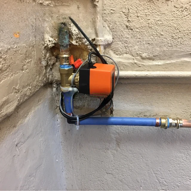 Для zwycięzcy WRA-6320A 230 В переменного тока электрический контроль прямого потока воды