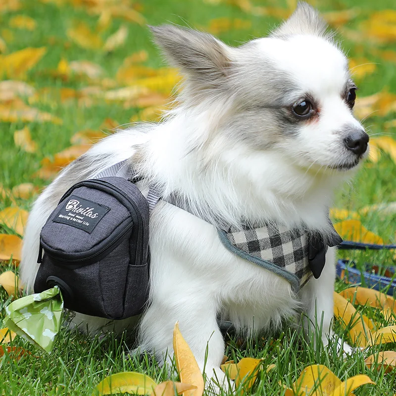 2022 haustier Hund behandeln pouch Tragbare Multifunktions Hund training bag Outdoor Reise Hund Poop Tasche Dispenser Durable Pet zubehör