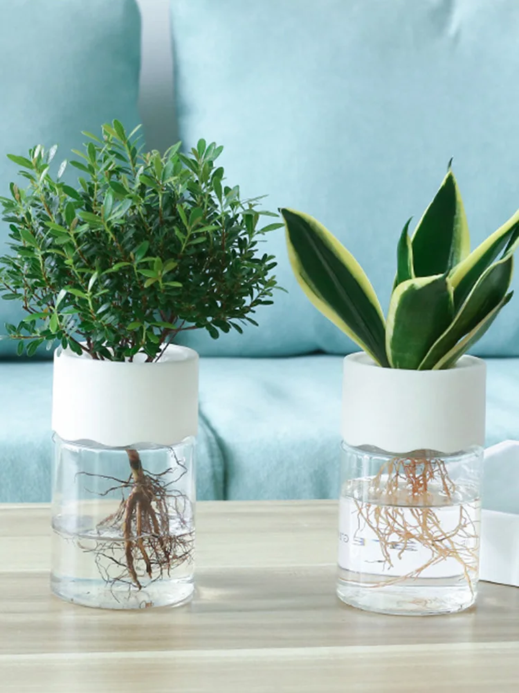 

Hydroponic Pot Water Planting Vase Plastic Pot For Plants Stylish Container Aquaponic Planter Home Desk Office Decor Flowerpot